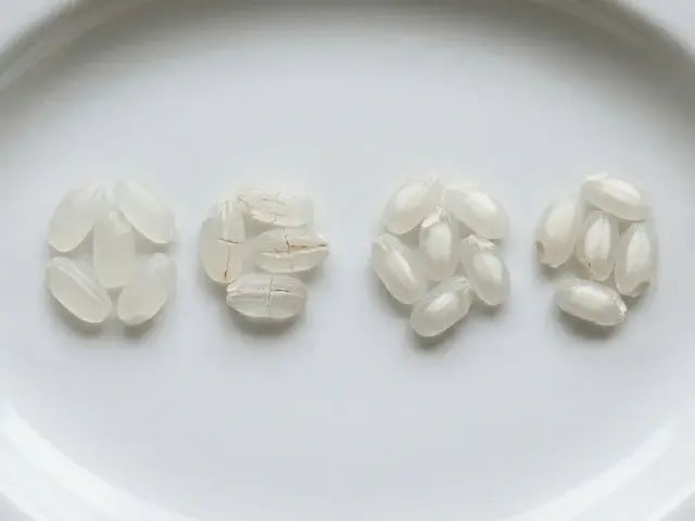 お米の高温登熟障害（整粒、胴割米、中心部白未熟粒、背部白未熟粒）