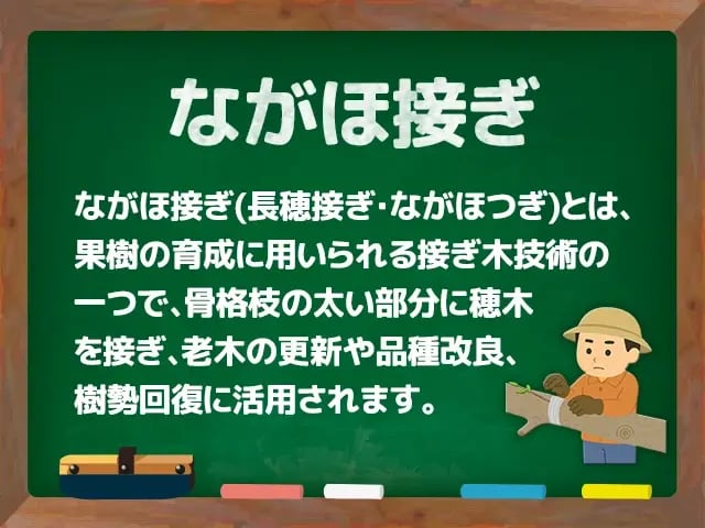 ながほ接ぎ(長穂接ぎ・ながほつぎ)