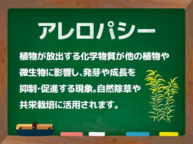 アレロパシー(あれろぱしー)
