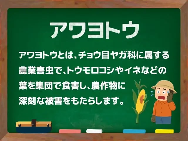 アワヨトウ(あわよとう)