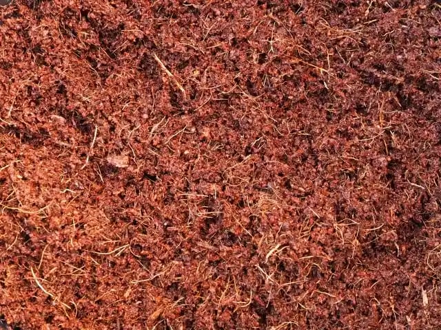 ココピート（ココヤシピート）