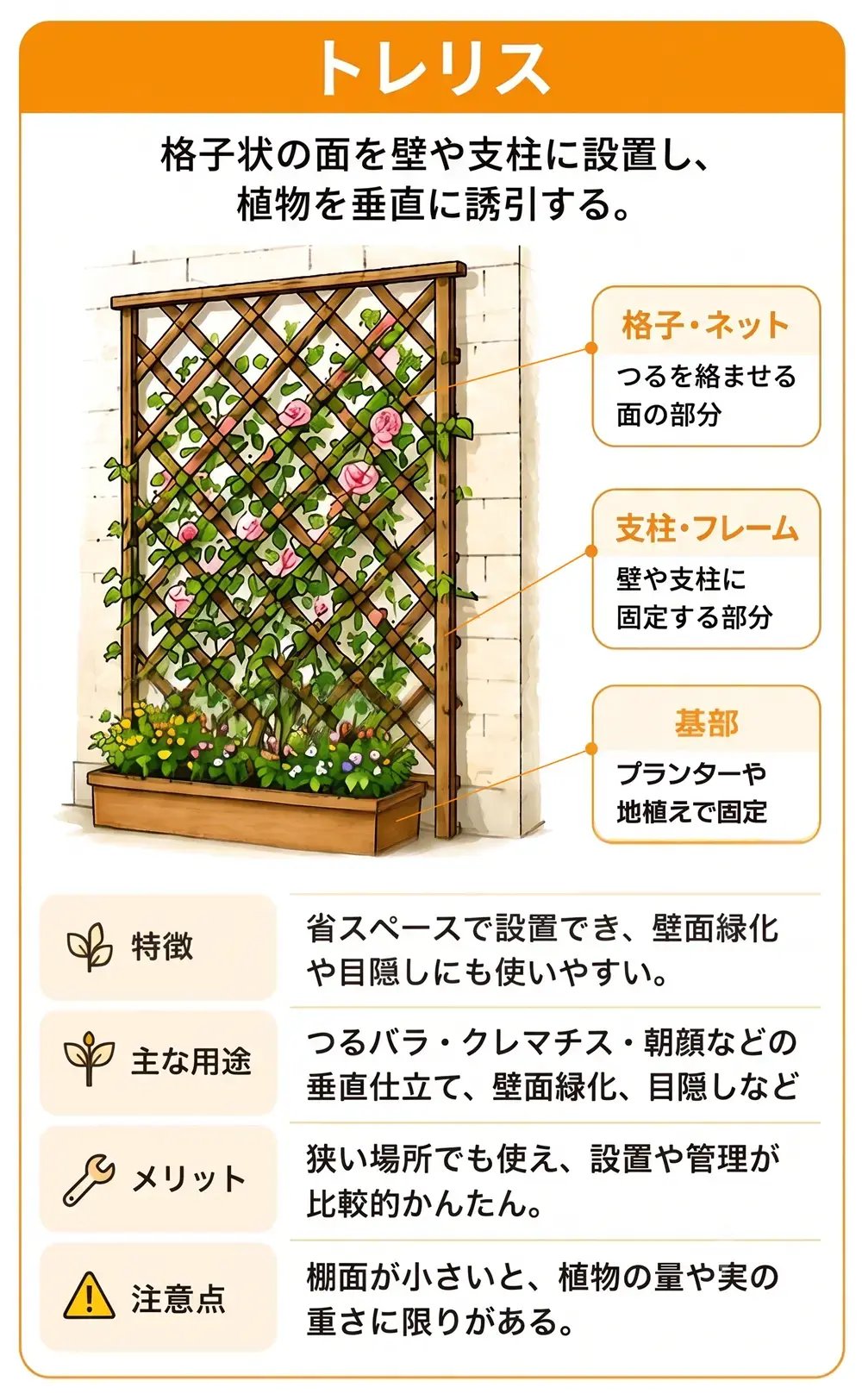 つる性植物を格子状の支持構造に誘引するトレリスのイラスト