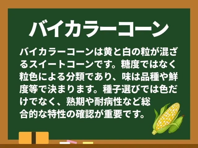 バイカラーコーン(ばいからーこーん)