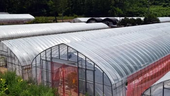 ビニールハウス用ビニール徹底解説｜主流素材の特徴・選び方・最新シェア