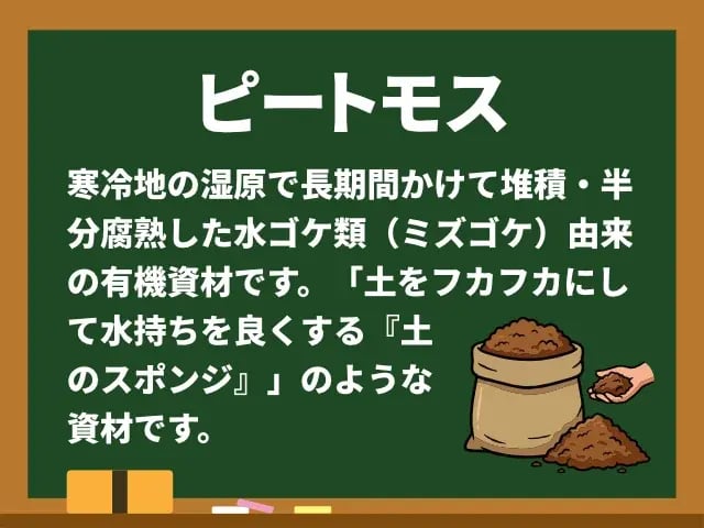 ピートモス(ぴーともす)