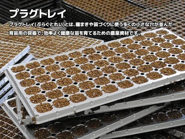 プラグトレイ