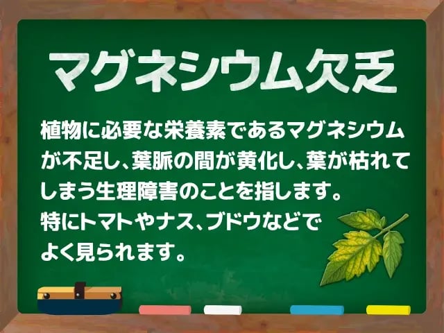 マグネシウム欠乏(まぐねしうむけつぼう)