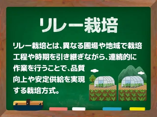 リレー栽培(りれーさいばい)