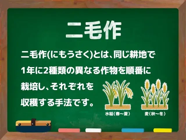 二毛作(にもうさく)