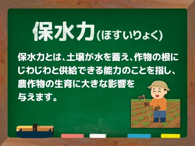 保水力(ほすいりょく)