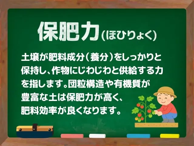 保肥力(ほひりょく)