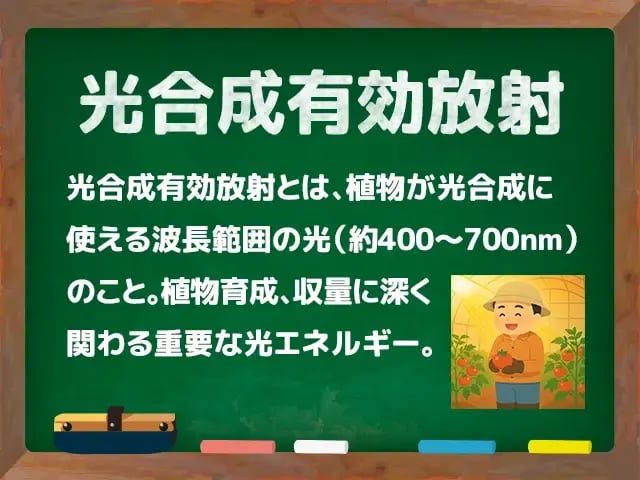 光合成有効放射(こうごうせいゆうこうほうしゃ)