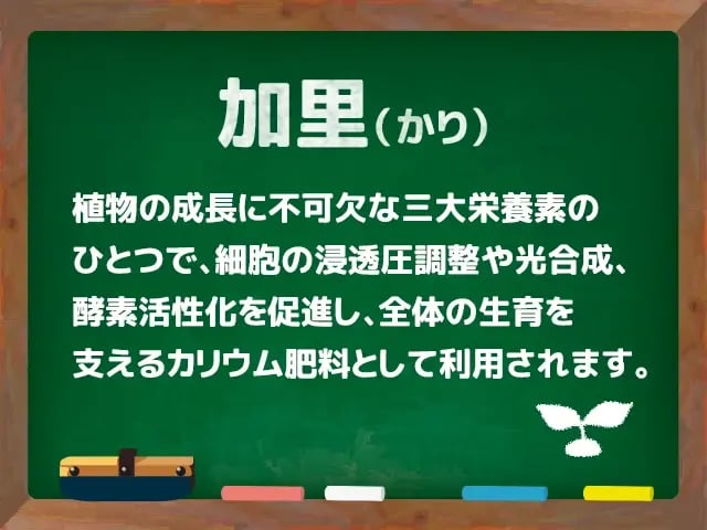 加里(かり)