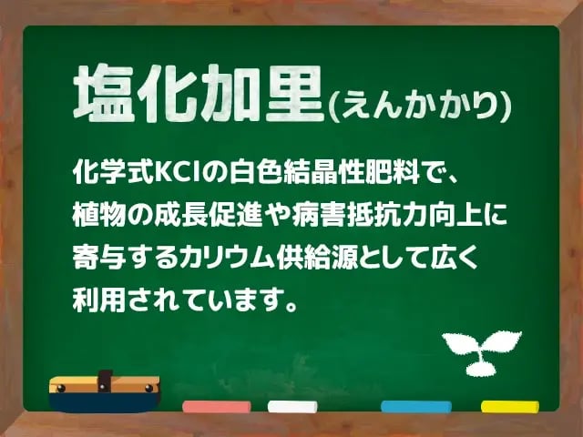 塩化加里(えんかかり)