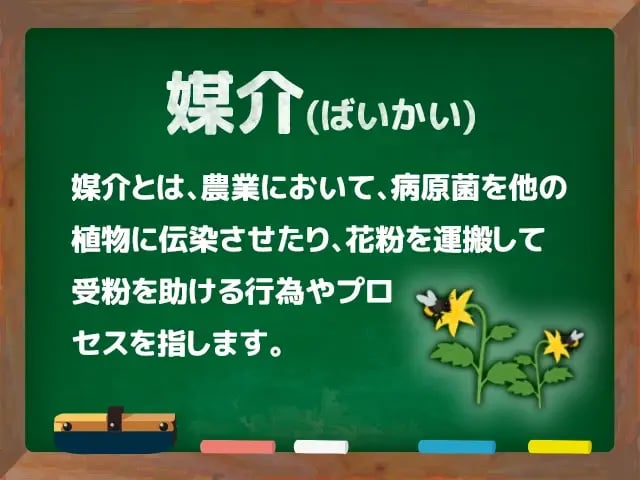 媒介(ばいかい)