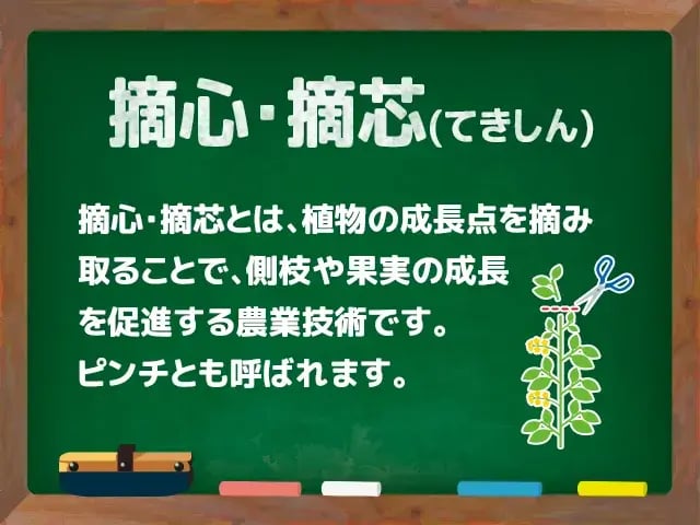 摘心(てきしん)