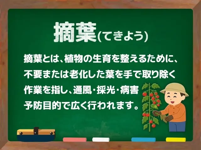 摘葉(てきよう)