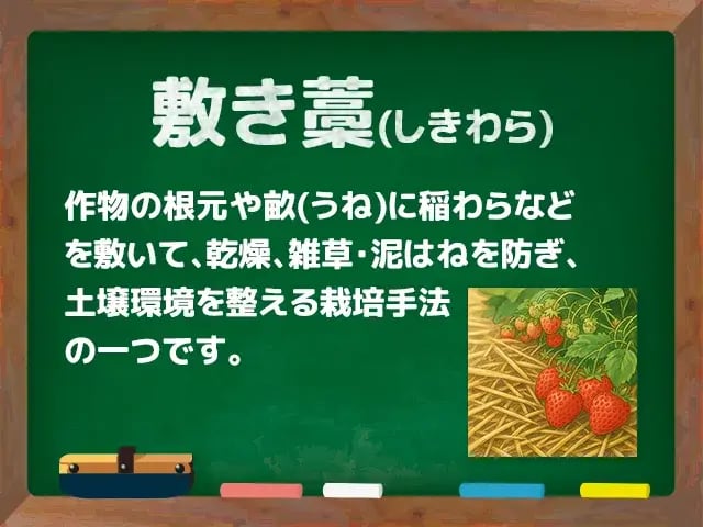 敷き藁(しきわら)