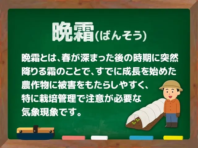 晩霜(ばんそう)