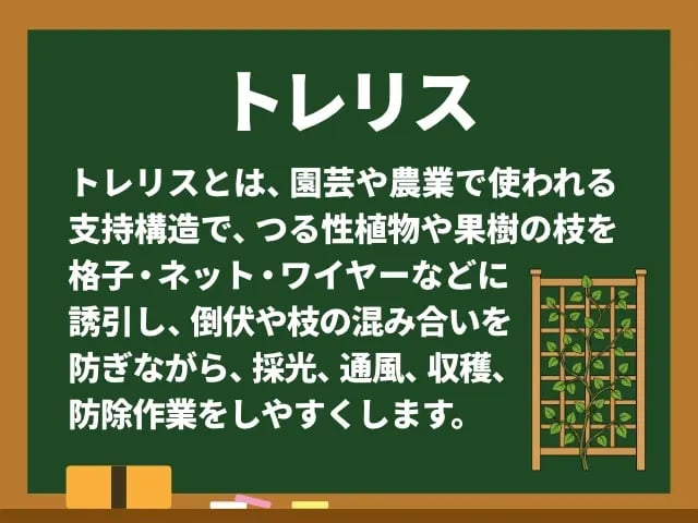 トレリス(とれりす)