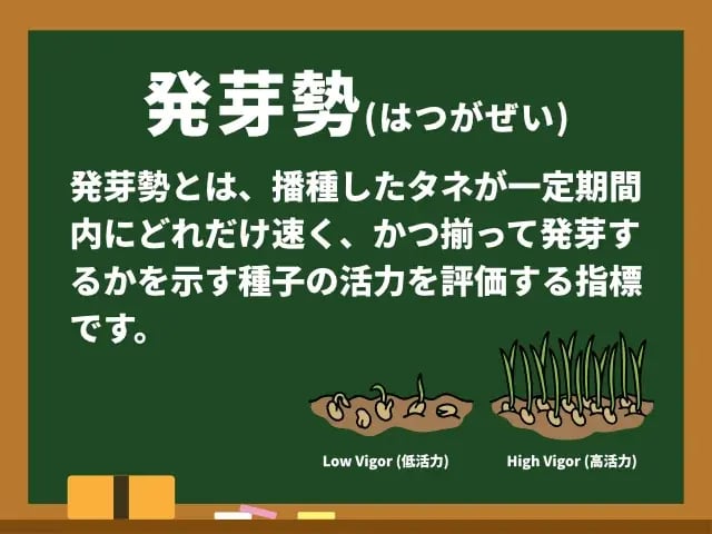 発芽勢(はつがぜい)