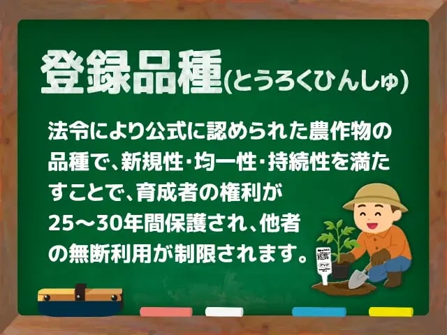 登録品種(とうろくひんしゅ)