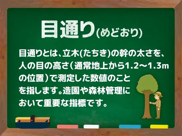 目通り(めどおり)