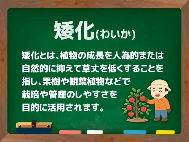 矮化(わいか)