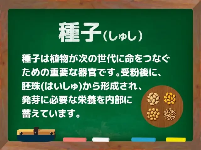 種子(しゅし) | 農業資材の紹介サイト | 農材ドットコム