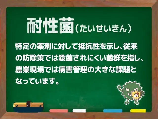 耐性菌(たいせいきん)