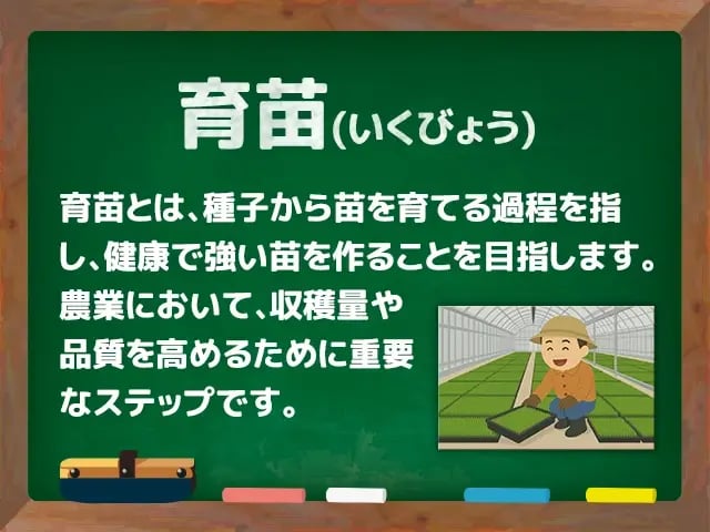 育苗(いくびょう)