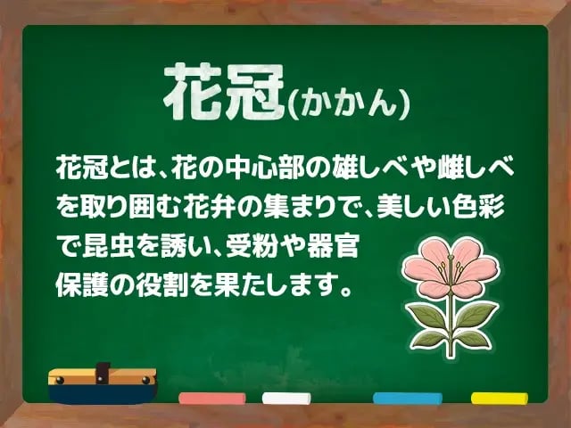 花冠(かかん)