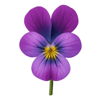 花冠の構造 左右相称花冠(さゆうそうしょうかかん) ラン