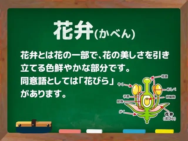 花弁(かべん)