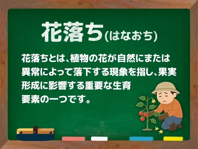 花落ち(はなおち)