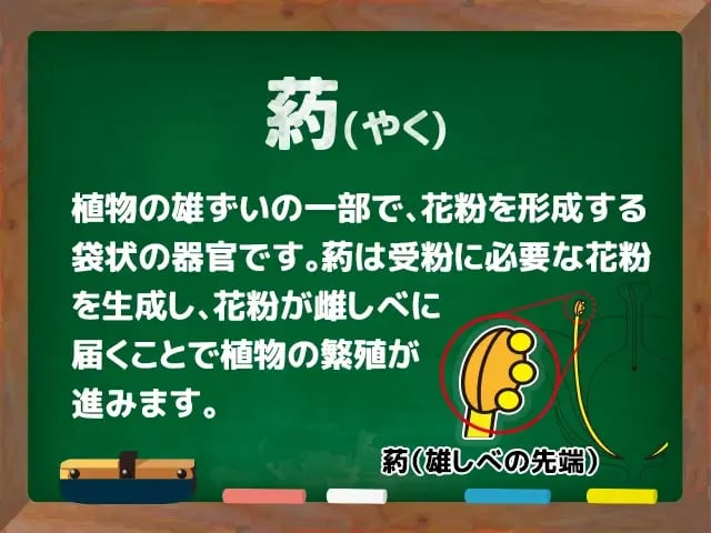 葯(やく)