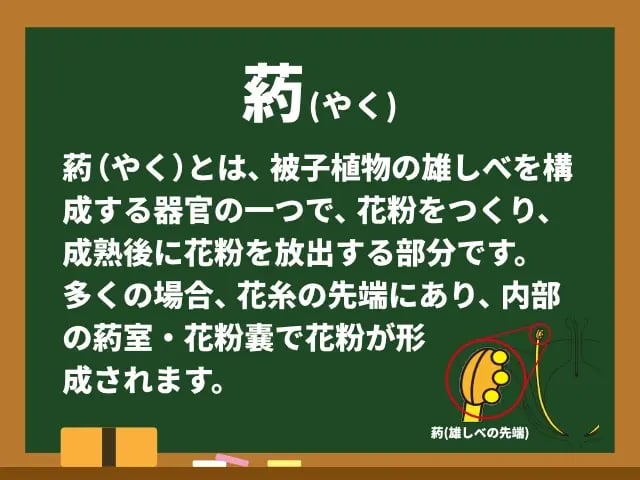 葯(やく)