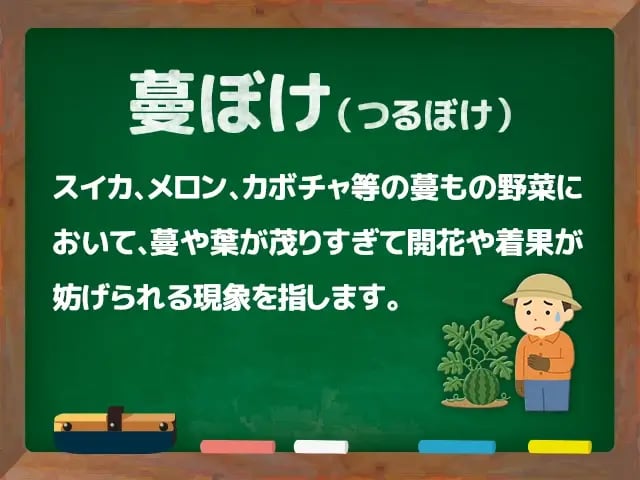 蔓ぼけ(つるぼけ)