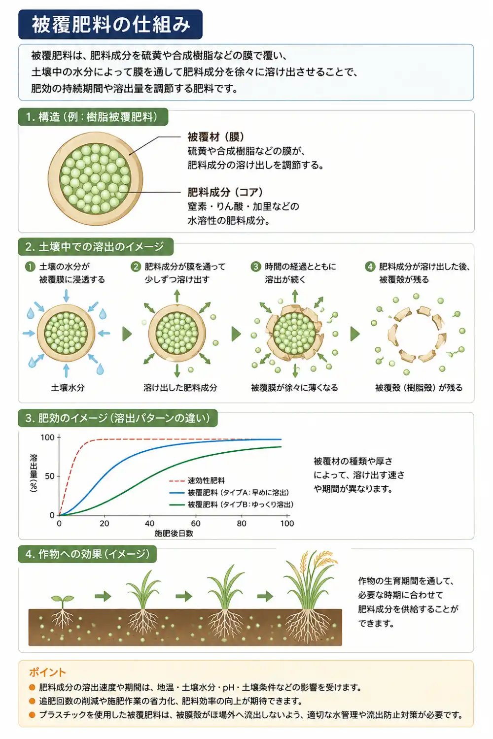 被覆肥料の仕組み