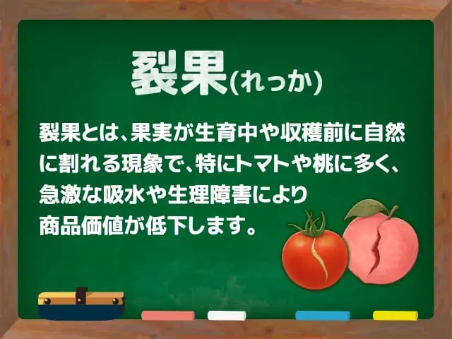 裂果(れっか)
