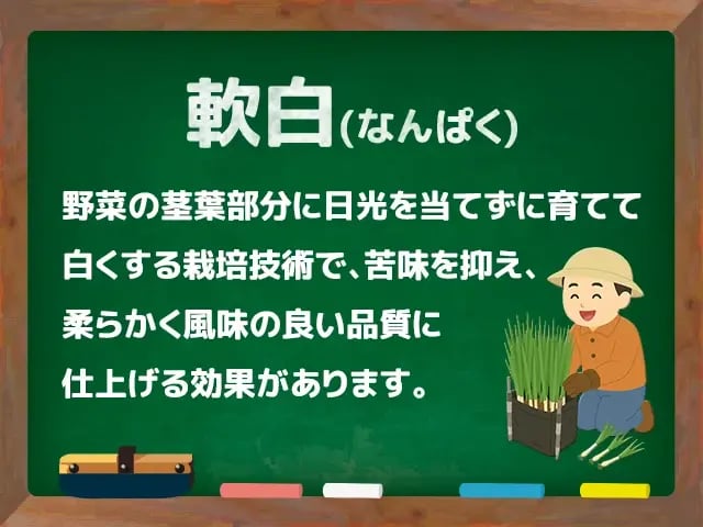 軟白(なんぱく)
