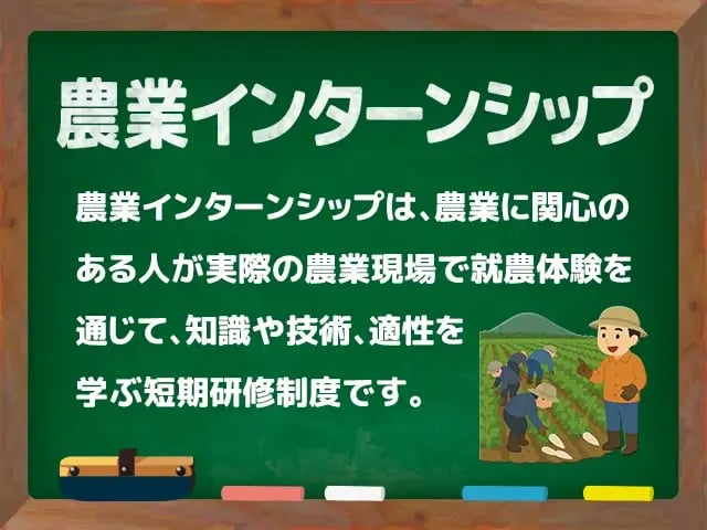 農業インターンシップ(のうぎょういんたーんしっぷ)