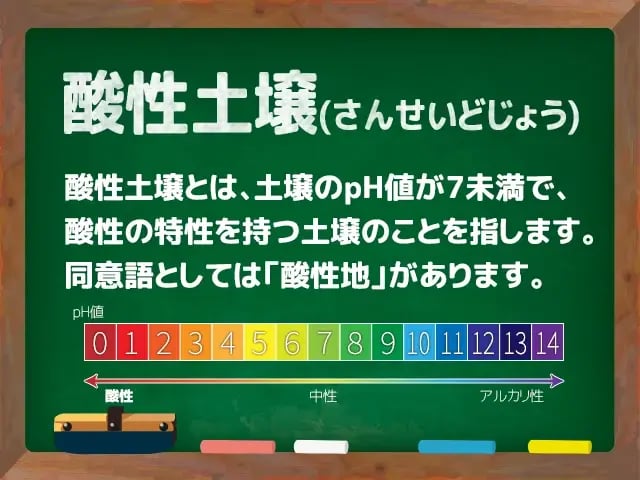 酸性土壌(さんせいどじょう)