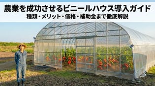 ビニールハウスとは？基礎知識から導入手順まで徹底網羅