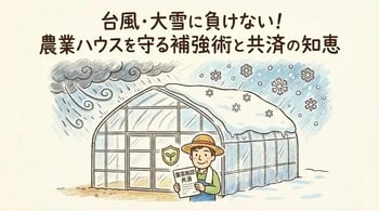 ビニールハウスの災害対策完全ガイド！台風・大雪から作物を守る補強術