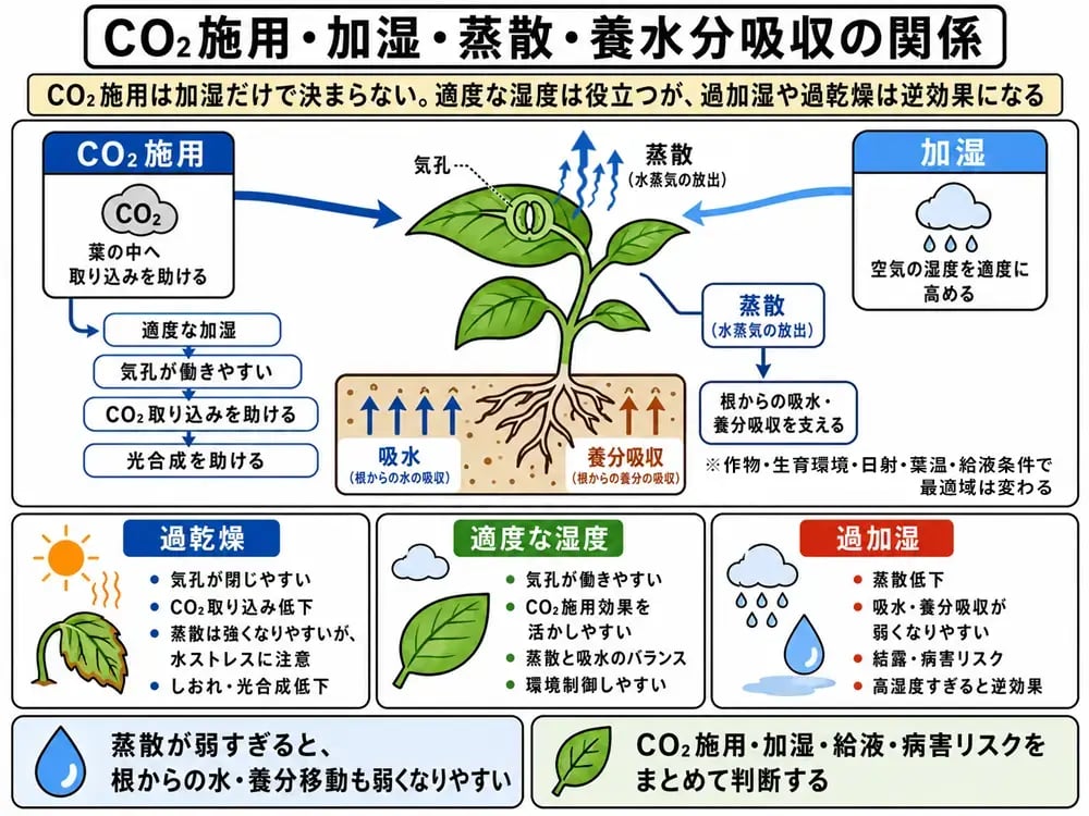CO₂施用・加湿・蒸散・養水分吸収の関係図-CO2施用と加湿制御では光合成だけでなく蒸散量と養水分吸収を同時に見る必要がある