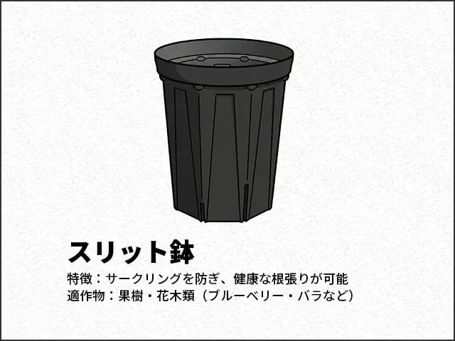 スリット鉢
