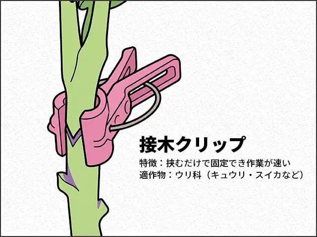 接木クリップ