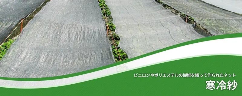寒冷紗