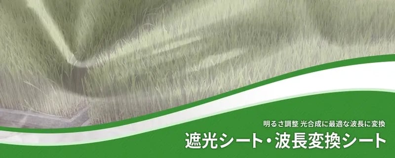 遮光シート・波長変換シート